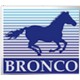 Bronco
