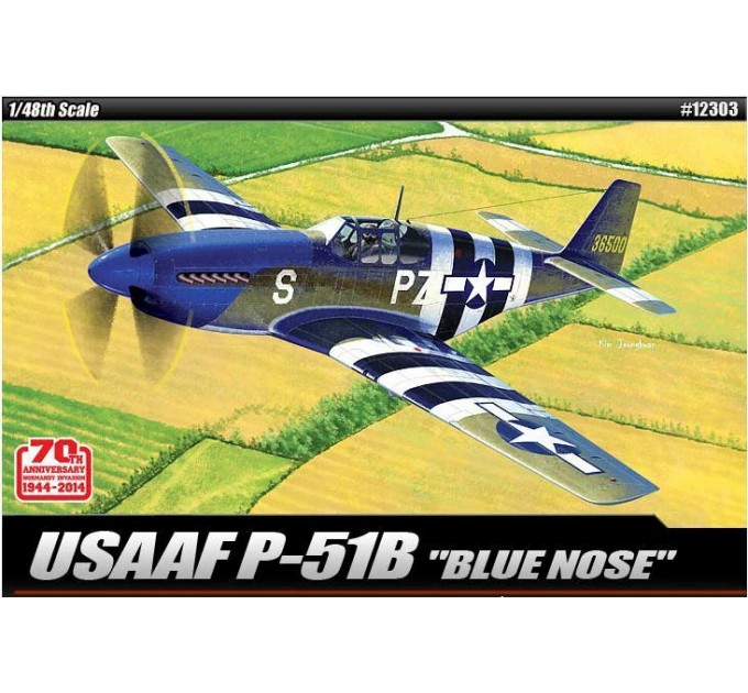 12303 North American P-51B USAAF "Blue Nose"