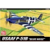 12303 North American P-51B USAAF "Blue Nose"