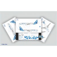 738-054 737-800 SCAT