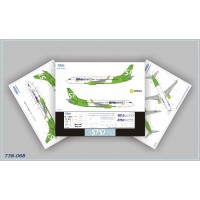 738-068 737-800 One World (S7 Airlines new)