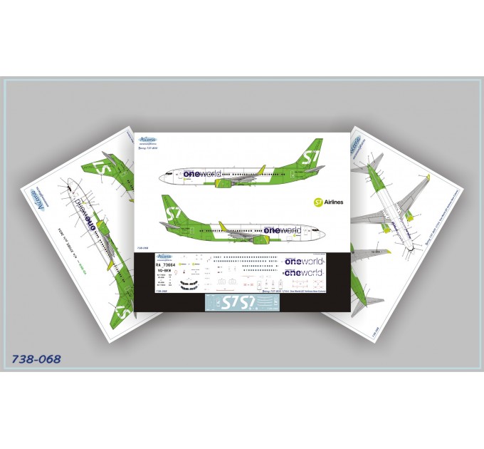 738-068 737-800 One World (S7 Airlines new)