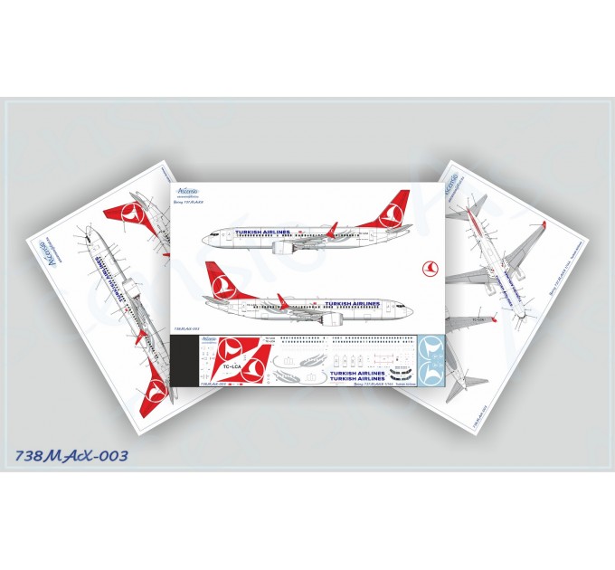 738MAX-003 737-8 MAX Turkish Airlines