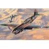 09086 Самолет P-40E Warnawk (HASEGAWA) 1/48