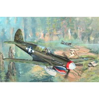 Т02212 1/32 P-40N War Hawk Т02212 1/32 P-40N War Hawk