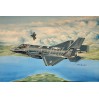 Т03231 F-35A Lightning II